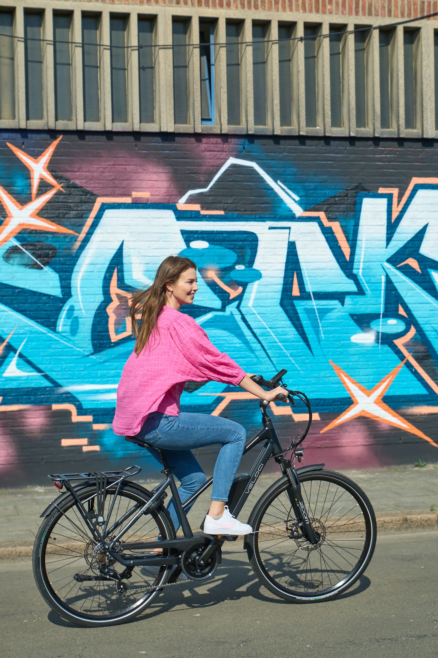 Wartung von E-Bikes Veloci