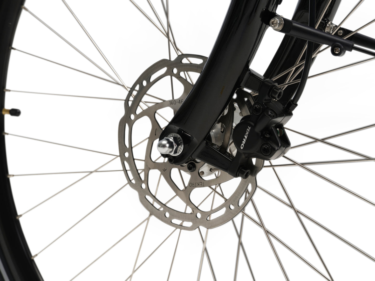 Veloci Solid